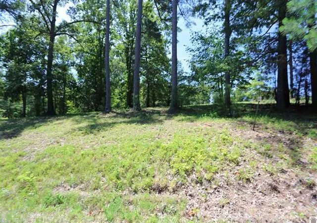 Photo 1 of Land for sale at Lot 54 Pine View Dr, Benton, KY 42025 | MLS# 26022999 | Listing updated on 2026-08-23