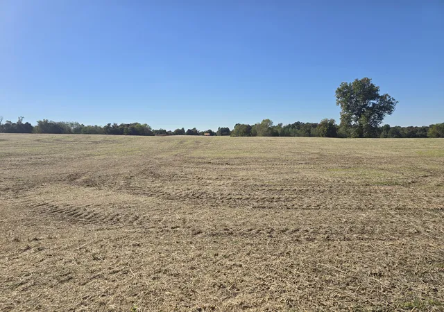 Homes for sale in Kuttawa, KY | Tract Iv N State Route 295, Kuttawa, KY 42055 | MLS# 26018182
