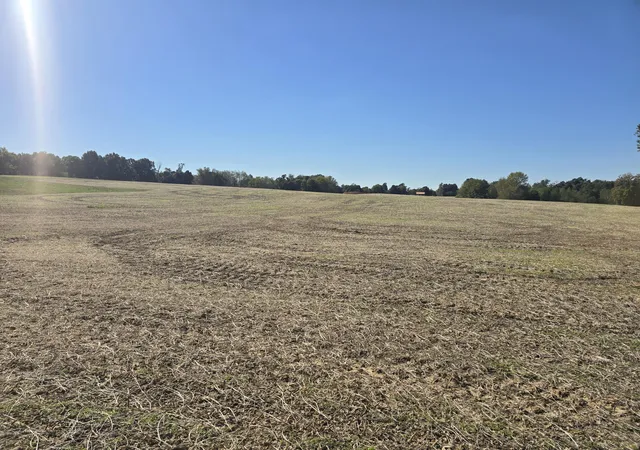 Homes for sale in Kuttawa, KY | Tract Iv N State Route 295, Kuttawa, KY 42055 | MLS# 26018182