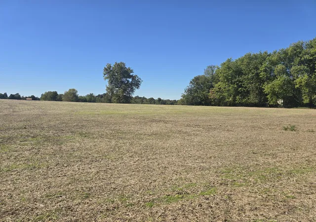Homes for sale in Kuttawa, KY | Tract Iv N State Route 295, Kuttawa, KY 42055 | MLS# 26018182