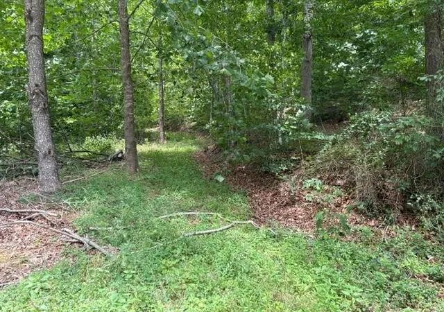 Homes for sale in South Shore, KY | 492 Lowder Frk, South Shore, KY 41175 | MLS# 26018210