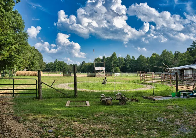 Photo 3 of Single family home for sale at 1321 Ky 80, Windsor, KY 42565 | MLS# 26018211 | Listing updated on 2026-08-10