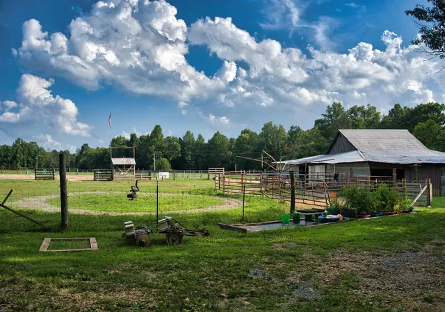 Photo 4 of Single family home for sale at 1321 Ky 80, Windsor, KY 42565 | MLS# 26018211 | Listing updated on 2026-08-10
