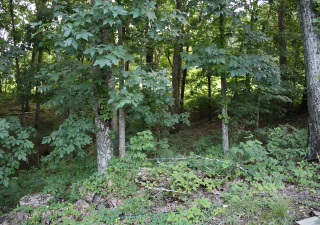 Homes for sale in Stanford, KY | 285 Von Linger Ln, Stanford, KY 40484 | MLS# 26018222