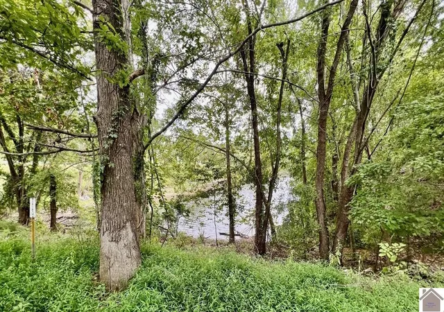Photo 2 of Land for sale at 1 Magnolia Dr, Kuttawa, KY 42055 | MLS# 26020842 | Listing updated on 2026-08-04