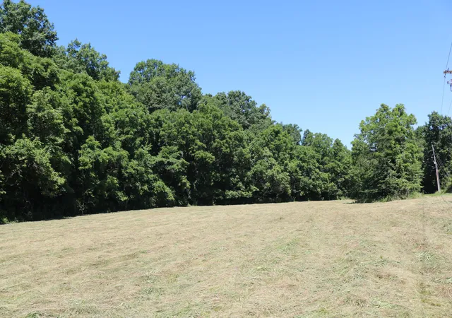 Homes for sale in Carlisle, KY | 480 Dog Walk Rd, Carlisle, KY 40311 | MLS# 26018302