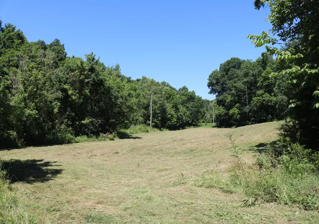 Homes for sale in Carlisle, KY | 480 Dog Walk Rd, Carlisle, KY 40311 | MLS# 26018302