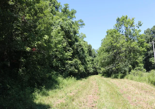 Photo 3 of Land for sale at 1 A Dog Walk Rd, Cynthiana, KY 41031 | MLS# 26018302 | Listing updated on 2026-07-15