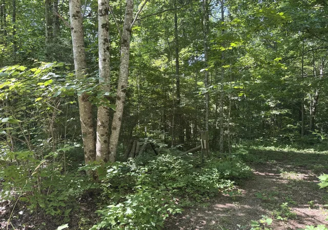 Photo 34 of Single family home for sale at 378 Shugars Hl Rd, Liberty, KY 42539 | MLS# 26018422 | Listing updated on 2026-09-01