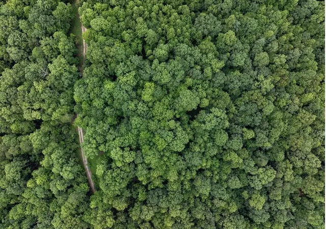 Photo 3 of Land for sale at 26 Venue Way, Zoe, KY 41397 | MLS# 26018825 | Listing updated on 2026-07-17