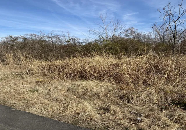 Photo 3 of Land for sale at 330 Grace Rd, Fulton, KY 42041 | MLS# 26018375 | Listing updated on 2026-08-27