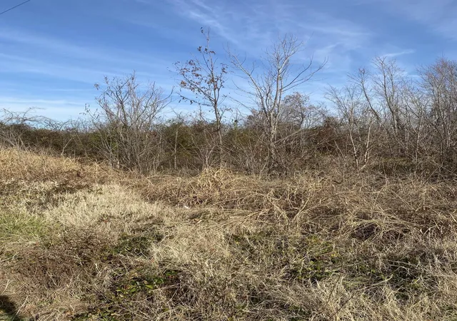 Photo 4 of Land for sale at 330 Grace Rd, Fulton, KY 42041 | MLS# 26018375 | Listing updated on 2026-08-27
