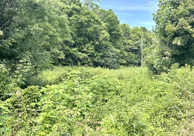 Photo 3 of Sale Pending at 839 Saltwell Rd, Carlisle, KY 40311 | MLS# 26019816 | Listing updated on 2026-08-25