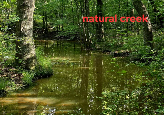 Photo 2 of Land for sale at 521 Cedar Knob Rd, Benton, KY 42025 | MLS# 26018522 | Listing updated on 2026-08-05