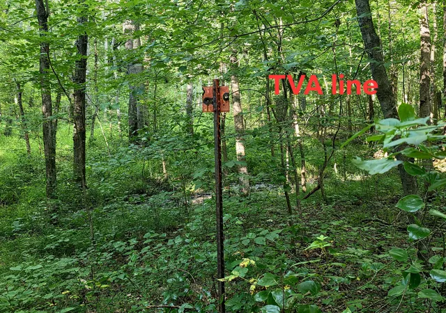 Photo 3 of Land for sale at 521 Cedar Knob Rd, Benton, KY 42025 | MLS# 26018522 | Listing updated on 2026-08-05