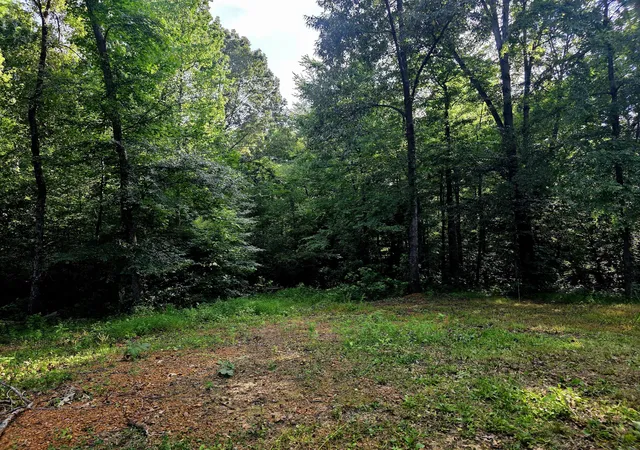Photo 4 of Land for sale at 521 Cedar Knob Rd, Benton, KY 42025 | MLS# 26018522 | Listing updated on 2026-08-05