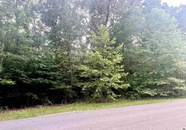 Photo 2 of Land for sale at 44 Mariner Ln, Murray, KY 42071 | MLS# 26018792 | Listing updated on 2026-07-17