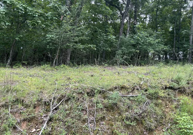 Photo 3 of Land for sale at 84 Mcclure Dr, Murray, KY 42071 | MLS# 26018865 | Listing updated on 2026-07-17