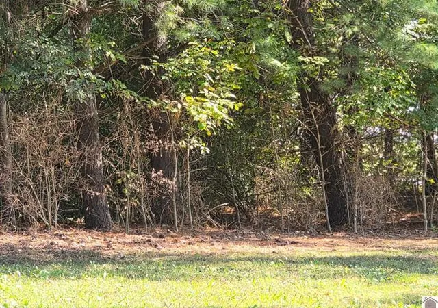 Photo 3 of Land for sale at 5609 Cairo Rd, Paducah, KY 42001 | MLS# 26018642 | Listing updated on 2026-08-07