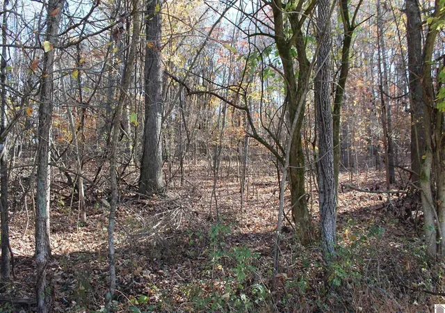 Photo 4 of Land for sale at Lot 49 Backstrom Hts Rd #63D-49, Eddyville, KY 42038 | MLS# 26019163 | Listing updated on 2026-07-20