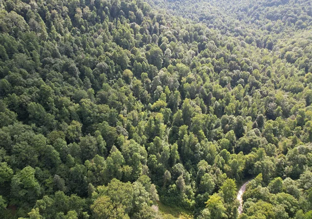 Photo 29 of Land for sale at 0 Little Rock Crk Rd, Strunk, KY 42649 | MLS# 26018787 | Listing updated on 2026-07-27