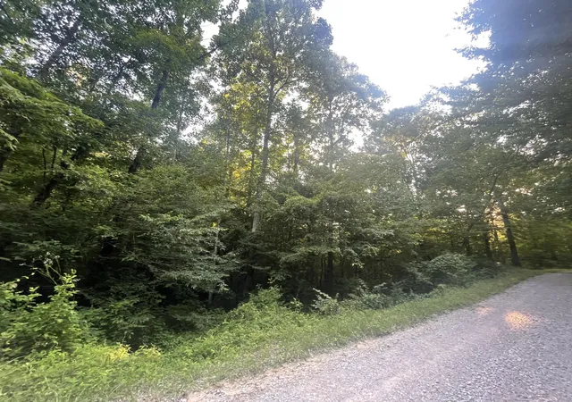 Photo 2 of Land for sale at 0 Little Rock Crk Rd, Strunk, KY 42649 | MLS# 26018787 | Listing updated on 2026-07-27