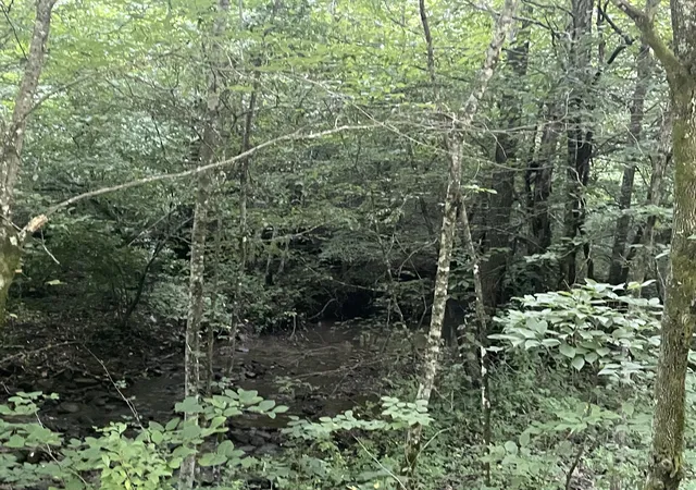 Photo 3 of Land for sale at 0 Little Rock Crk Rd, Strunk, KY 42649 | MLS# 26018787 | Listing updated on 2026-07-27
