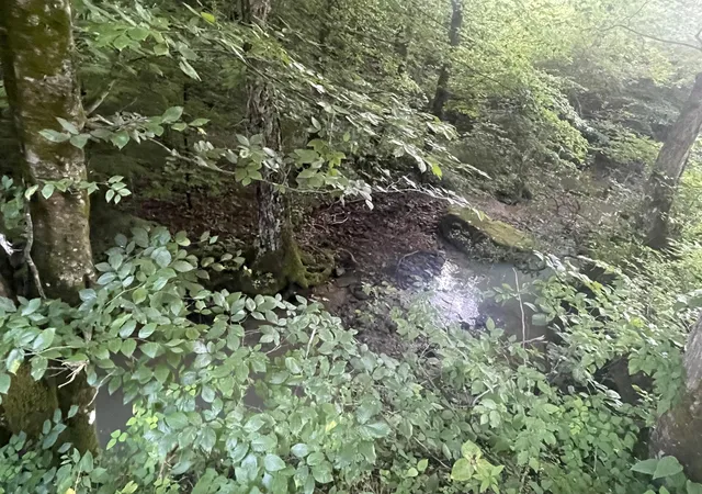 Photo 4 of Land for sale at 0 Little Rock Crk Rd, Strunk, KY 42649 | MLS# 26018787 | Listing updated on 2026-07-27
