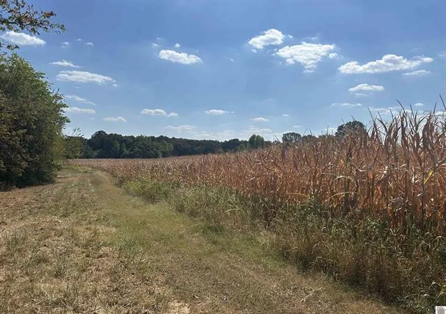 Photo 3 of Land for sale at 000 Briensburg Tatumsville Rd, Benton, KY 42025 | MLS# 26018769 | Listing updated on 2026-08-26