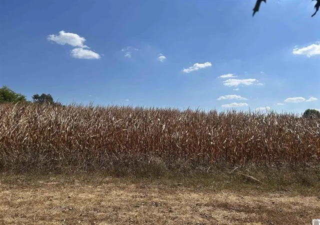 Photo 4 of Land for sale at 000 Briensburg Tatumsville Rd, Benton, KY 42025 | MLS# 26018769 | Listing updated on 2026-08-26