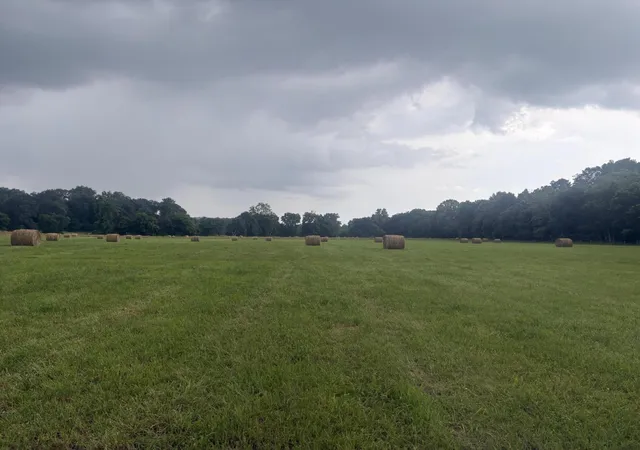 Photo 2 of Land for sale at 107 Hall Cemetery Rd, Cadiz, KY 42211 | MLS# 26018733 | Listing updated on 2026-07-16