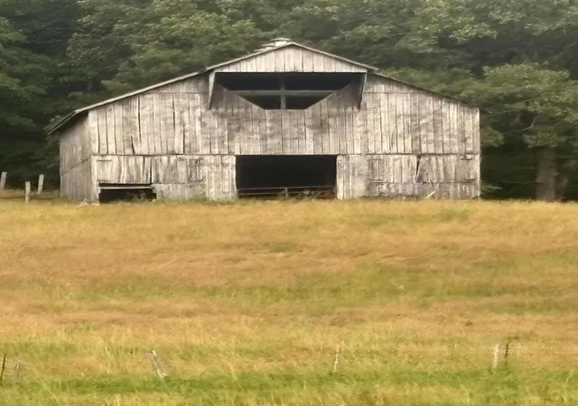 Photo 3 of Land for sale at 107 Hall Cemetery Rd, Cadiz, KY 42211 | MLS# 26018733 | Listing updated on 2026-07-16