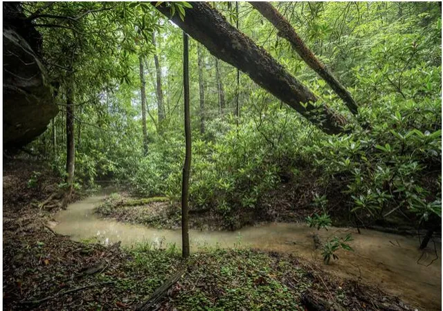 Photo 2 of Land for sale at 46 Venue Way, Zoe, KY 41397 | MLS# 26018889 | Listing updated on 2026-07-17