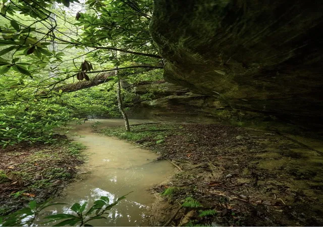Photo 3 of Land for sale at 46 Venue Way, Zoe, KY 41397 | MLS# 26018889 | Listing updated on 2026-07-17