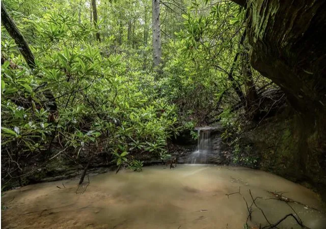 Photo 3 of Land for sale at 46 Venue Way, Zoe, KY 41397 | MLS# 26018889 | Listing updated on 2026-07-17