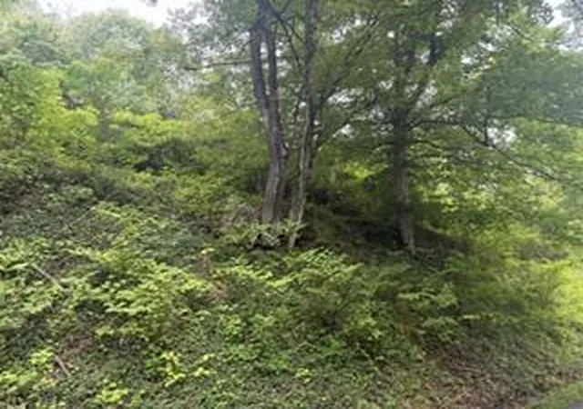 Photo 3 of Sale Pending at 0 Ky 1534, Pineville, KY 40977 | MLS# 26018948 | Listing updated on 2026-07-23