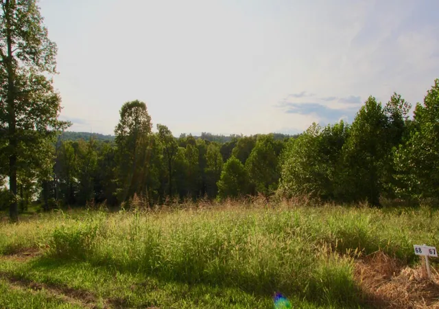 Photo 3 of Land for sale at Lot 68 Kelsey Joe Ln, Eddyville, KY 42038 | MLS# 26018982 | Listing updated on 2026-07-18