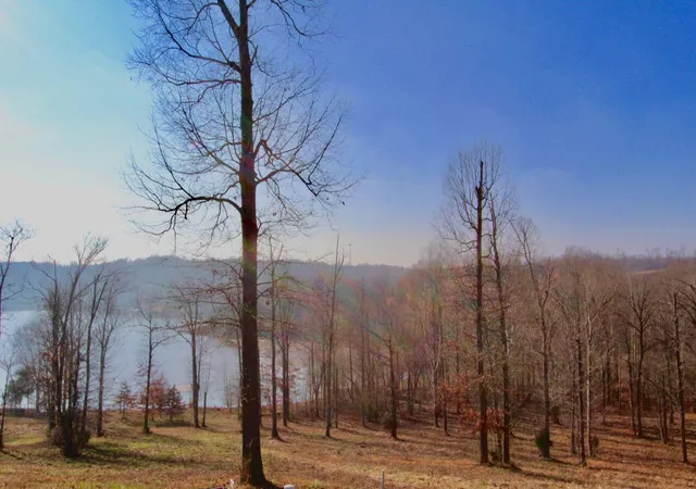 Photo 2 of Land for sale at Lot 69 Kelsey Joe Ln, Eddyville, KY 42038 | MLS# 26018984 | Listing updated on 2026-07-18