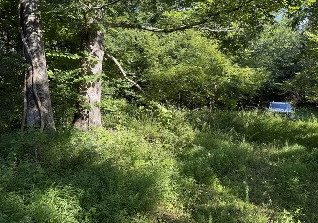 Photo 2 of Land for sale at 0000 Wm Judd, Columbia, KY 42728 | MLS# 26018993 | Listing updated on 2026-08-17