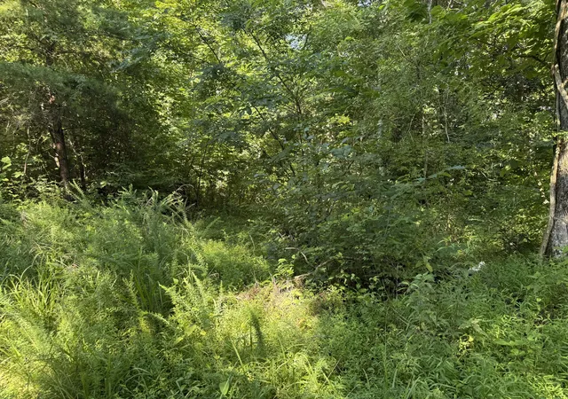 Photo 3 of Land for sale at 0000 Wm Judd, Columbia, KY 42728 | MLS# 26018993 | Listing updated on 2026-08-17