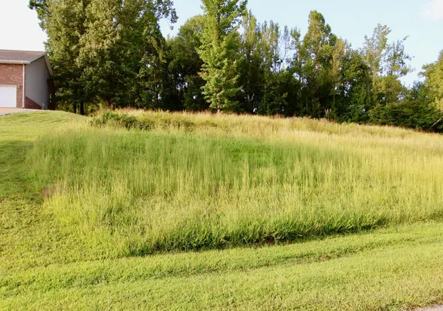 Photo 2 of Land for sale at Lot 83 Kelsey Joe Ln, Eddyville, KY 42038 | MLS# 26019001 | Listing updated on 2026-07-18