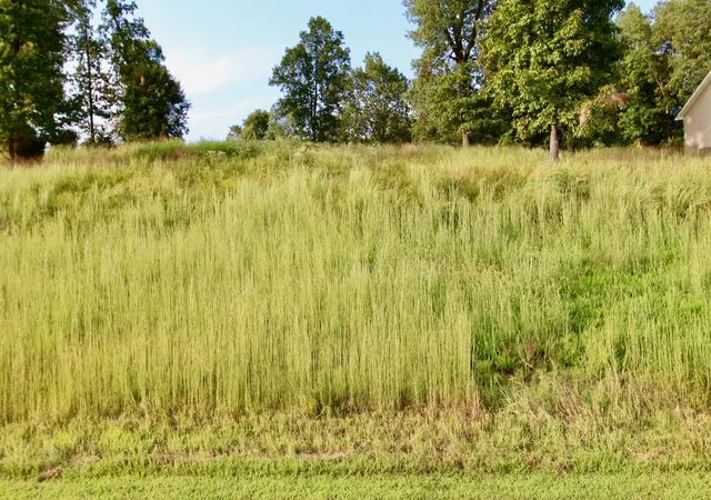 Photo 2 of Land for sale at Lot 85 Kelsey Joe Ln, Eddyville, KY 42038 | MLS# 26019002 | Listing updated on 2026-07-18