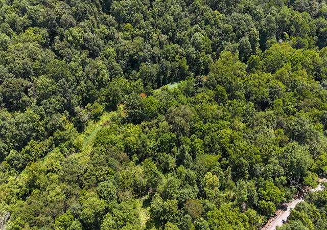 Photo 2 of Land for sale at 0 S Us Hwy 127 Loop, Owenton, KY 40359 | MLS# 26019032 | Listing updated on 2026-09-14