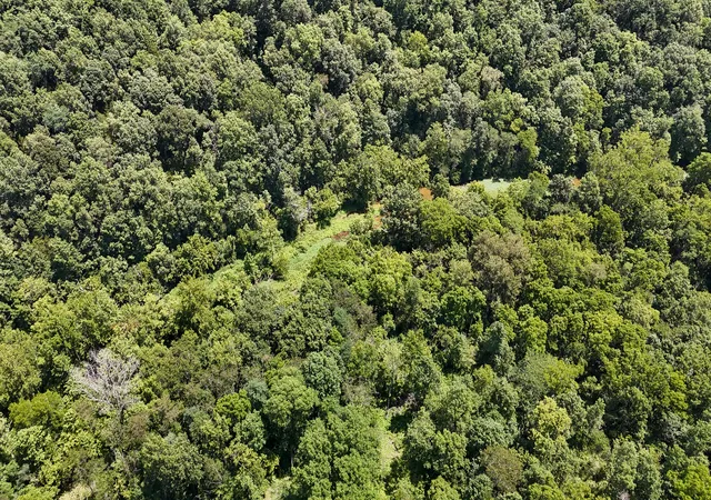 Photo 3 of Land for sale at 0 S Us Hwy 127 Loop, Owenton, KY 40359 | MLS# 26019032 | Listing updated on 2026-09-14