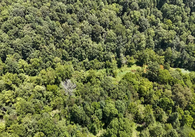 Photo 3 of Land for sale at 0 S US Hwy 127 Loop, Owenton, KY 40359 | MLS# 26019032 | Listing updated on 2026-09-14