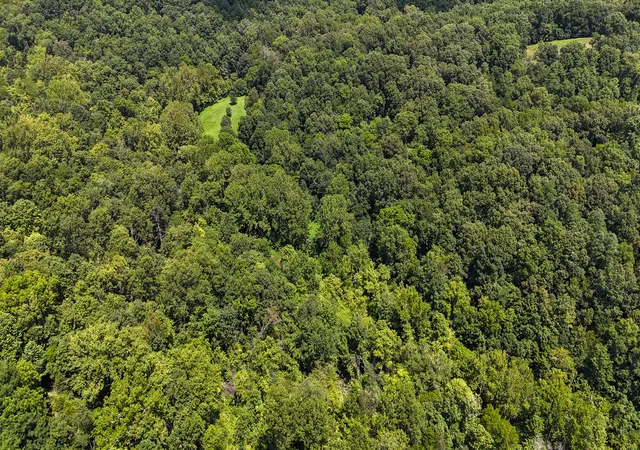 Photo 4 of Land for sale at 0 S US Hwy 127 Loop, Owenton, KY 40359 | MLS# 26019032 | Listing updated on 2026-09-14