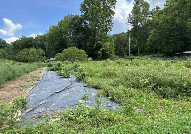 Photo 4 of Sale Pending at 305 Pond Lick Rd, Annville, KY 40402 | MLS# 26019037 | Listing updated on 2026-09-07