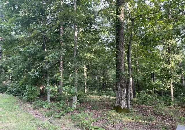 Photo 1 of Land for sale at Lot 99 Woodduck Ln, Murray, KY 42071 | MLS# 26019039 | Listing updated on 2026-07-20