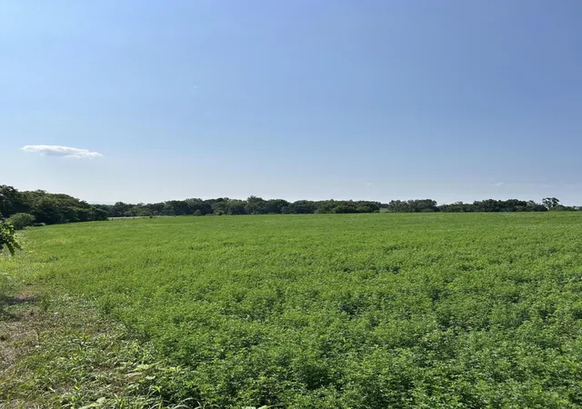 Photo 2 of Sale Pending at Lot #2 Lucy Ln, Cynthiana, KY 41031 | MLS# 26019109 | Listing updated on 2026-07-30
