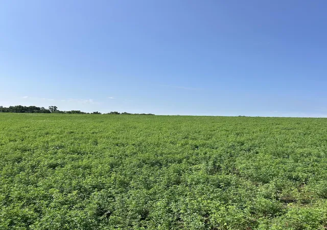 Photo 3 of Sale Pending at Lot #2 Lucy Ln, Cynthiana, KY 41031 | MLS# 26019109 | Listing updated on 2026-07-30